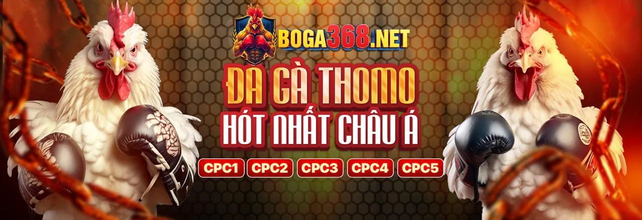 Chính sách Cookie của vip79 game bài