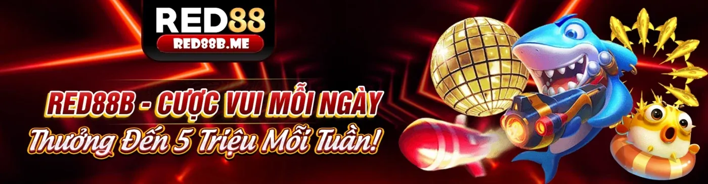 Quy trình đăng ký VIP79